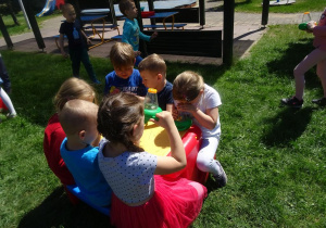 Dzieci oglądają przez lupę rośliny.